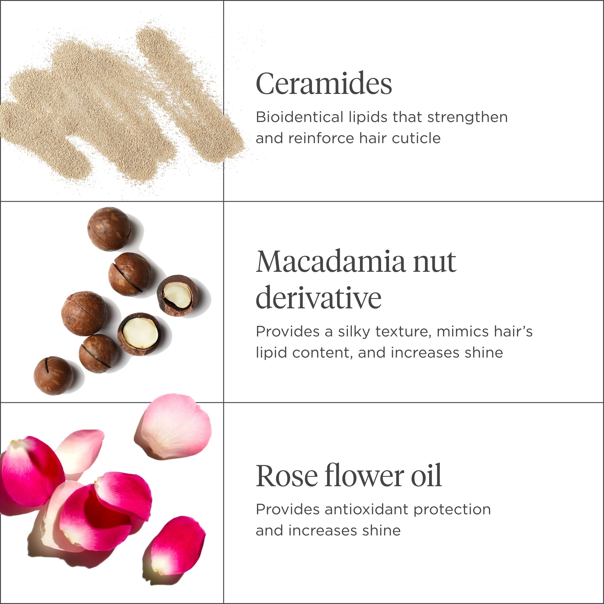 Don't Despair Repair! Strengthening Treatment Oil - Briogeo