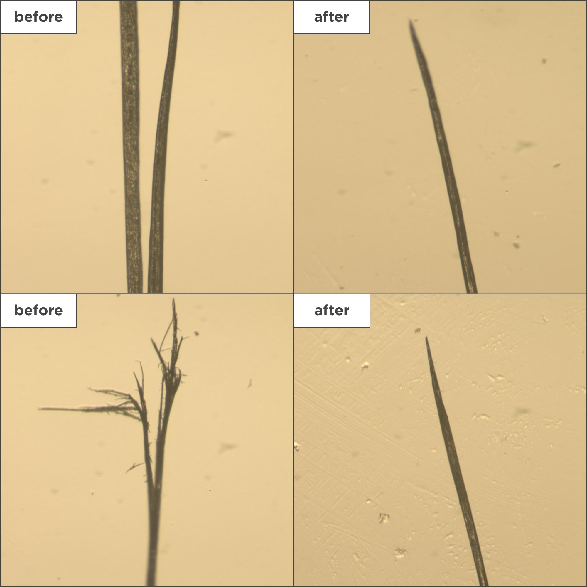 Don't Despair Repair! Strengthening Treatment Oil - Briogeo