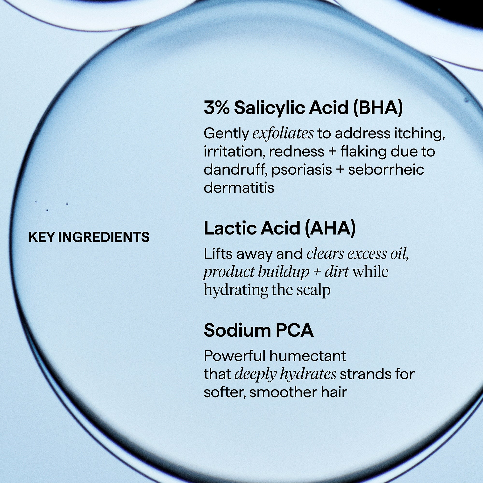 Scalp Revival™ Dandruff Relief Shampoo with Charcoal + 3% Salicylic Acid - Briogeo